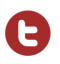 twitter-icon